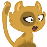 Photo de Profil de vf