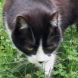 Photo de Profil de zebulon