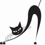 Photo de Profil de Pattes