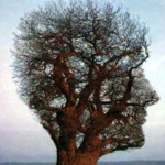 Photo de Profil de cookies